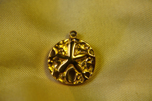 Disc Star Charm